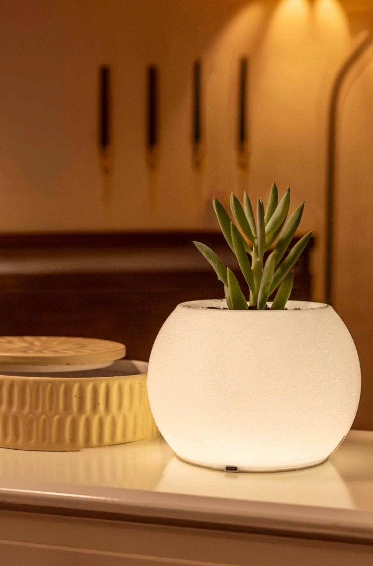 Moon Şarjlı Dekoratif Masaüstü Işıklı Lamba Saksı (Gün Işığı)