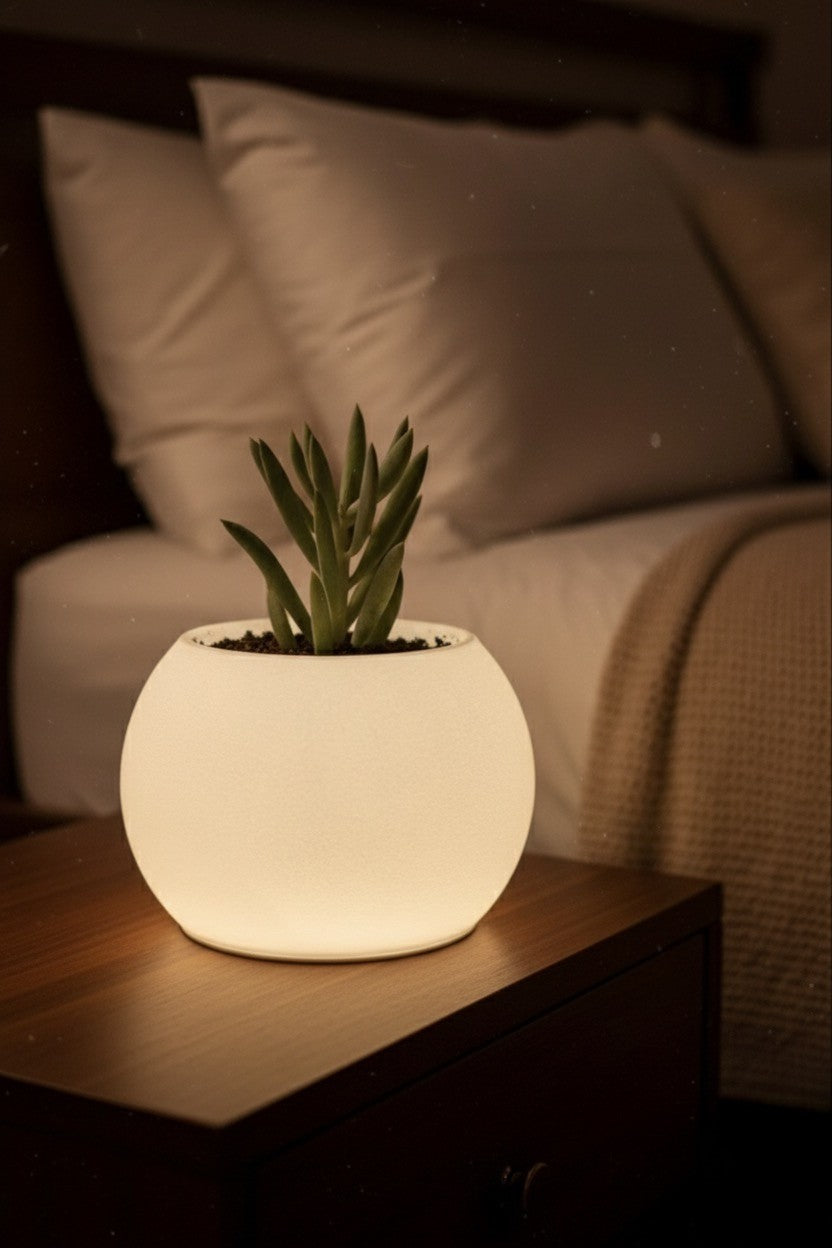 Moon Şarjlı Dekoratif Masaüstü Işıklı Lamba Saksı (Gün Işığı)